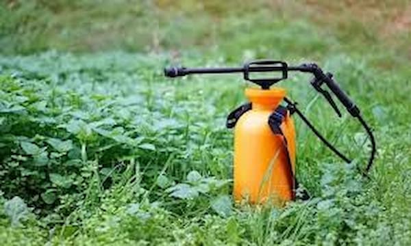 تصویر 4 از قیمت سم‌پاش دستی باغ و مزرعه با کیفیت ارزان + خرید عمده